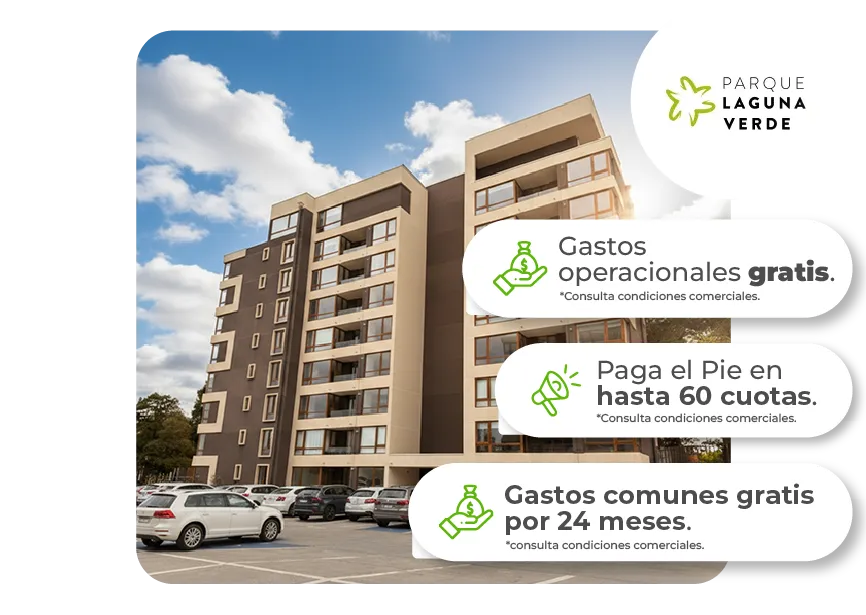 plv-desktop-proyecto-11-06-2026