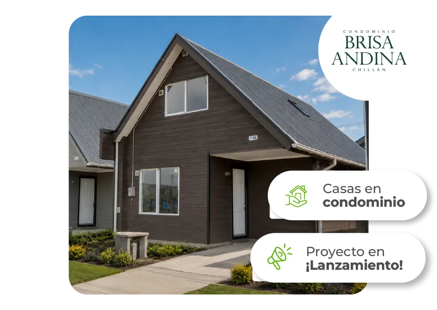 web-brisa-andina-20-08-2026